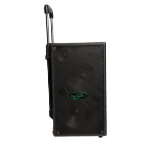 SoundArt PW100-D100 Watt RMS UHF Wireless Dual-Channel Rechargeable PSystem
