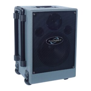 Soundt PW65-M Compact Portable Wireless PSystem with MP3 Player