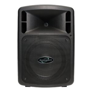 Soundt PX420 200W 8 Ohm Extension Speaker